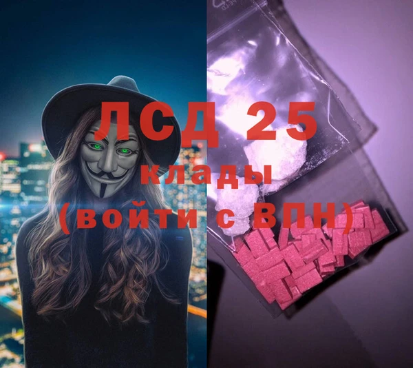 стаф Карпинск