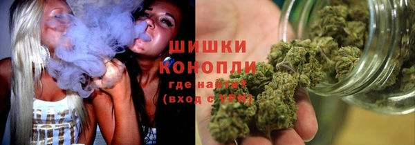 стаф Карпинск