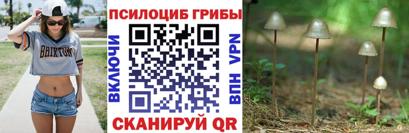 мега ONION Кондрово Галлюциногенные грибы прущие грибы